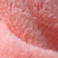Coral fleece fabric